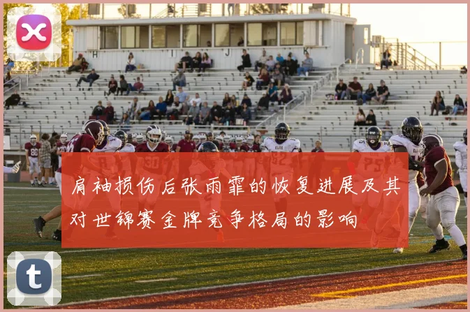 肩袖损伤后张雨霏的恢复进展及其对世锦赛金牌竞争格局的影响