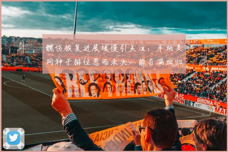 髋伤恢复进展缓慢引关注，辛纳美网种子排位悬而未决，能否满血归来成焦点
